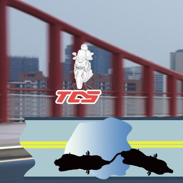 Control de tracciónSistema de control de tracción TCS para asegurar una conducción más segura.